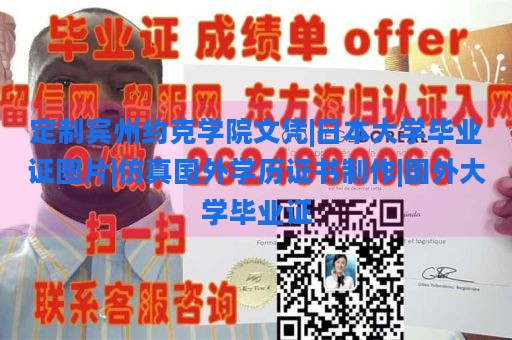 定制宾州约克学院文凭|日本大学毕业证图片|仿真国外学历证书制作|国外大学毕业证